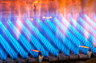 Longnor gas fired boilers
